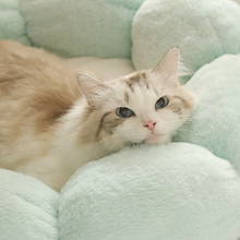 画像をギャラリービューアに読み込む, Cute Flower Shape Cat Bed 可愛い花型ペット
